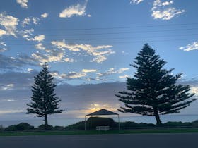 2 pine trees and gazebo across the road from cottages