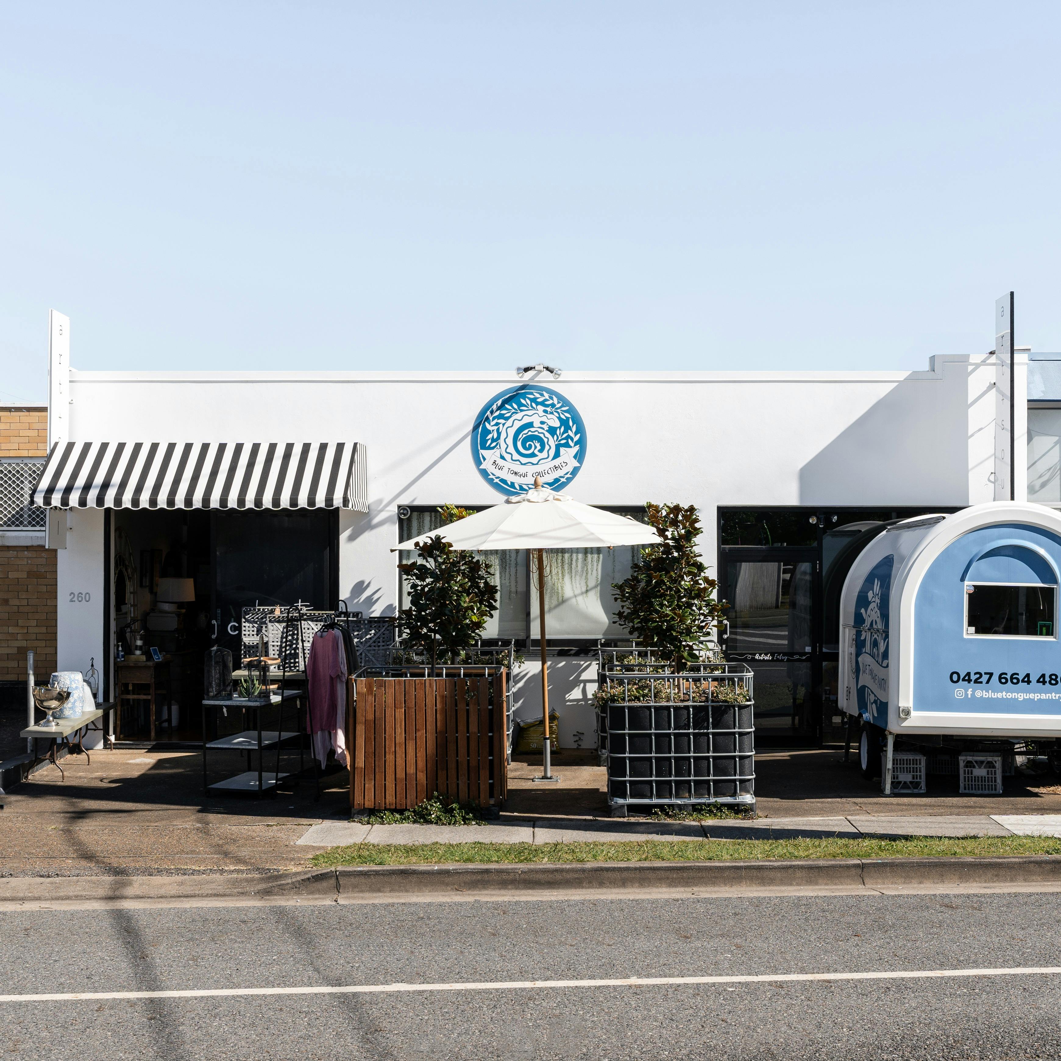 Blue Tongue Collectables