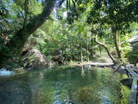 Swimming Pool @ Daintree Secrets from across the foot-bridge.