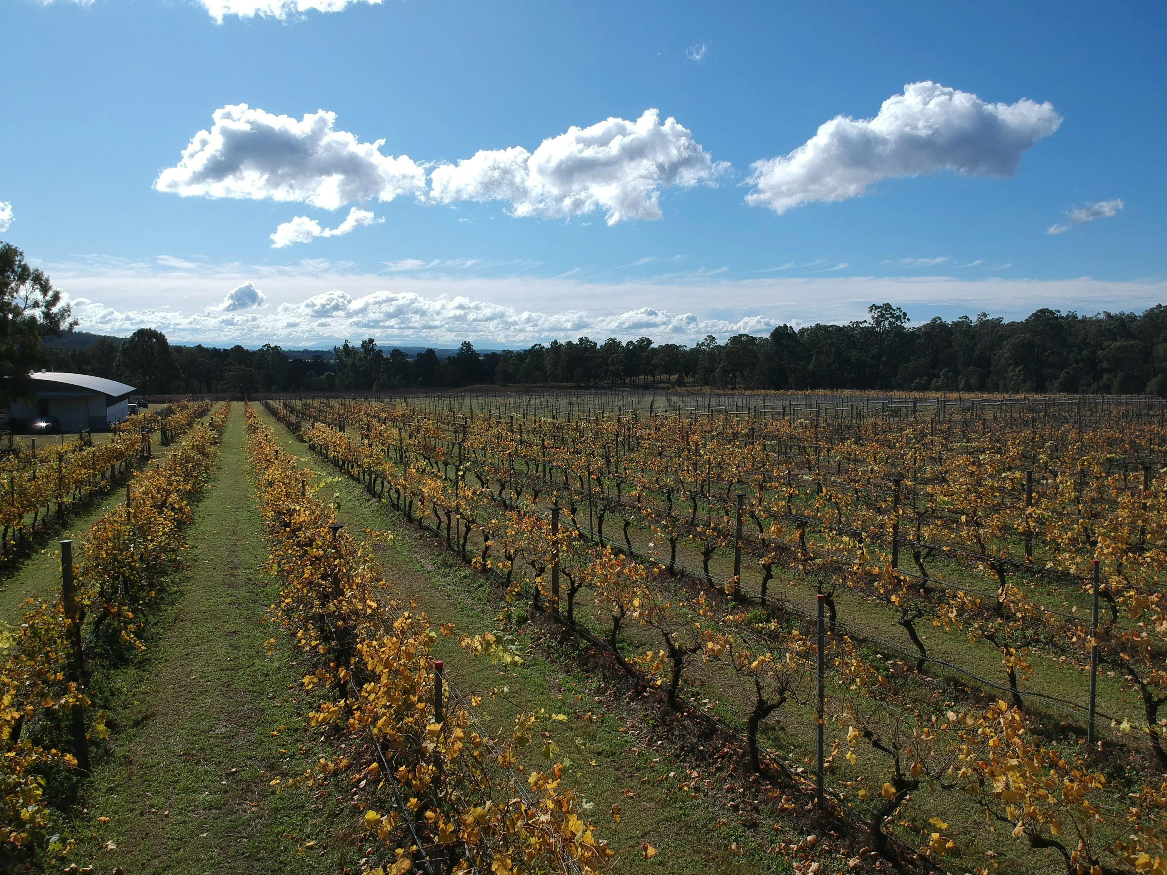 밀브로데일 농장