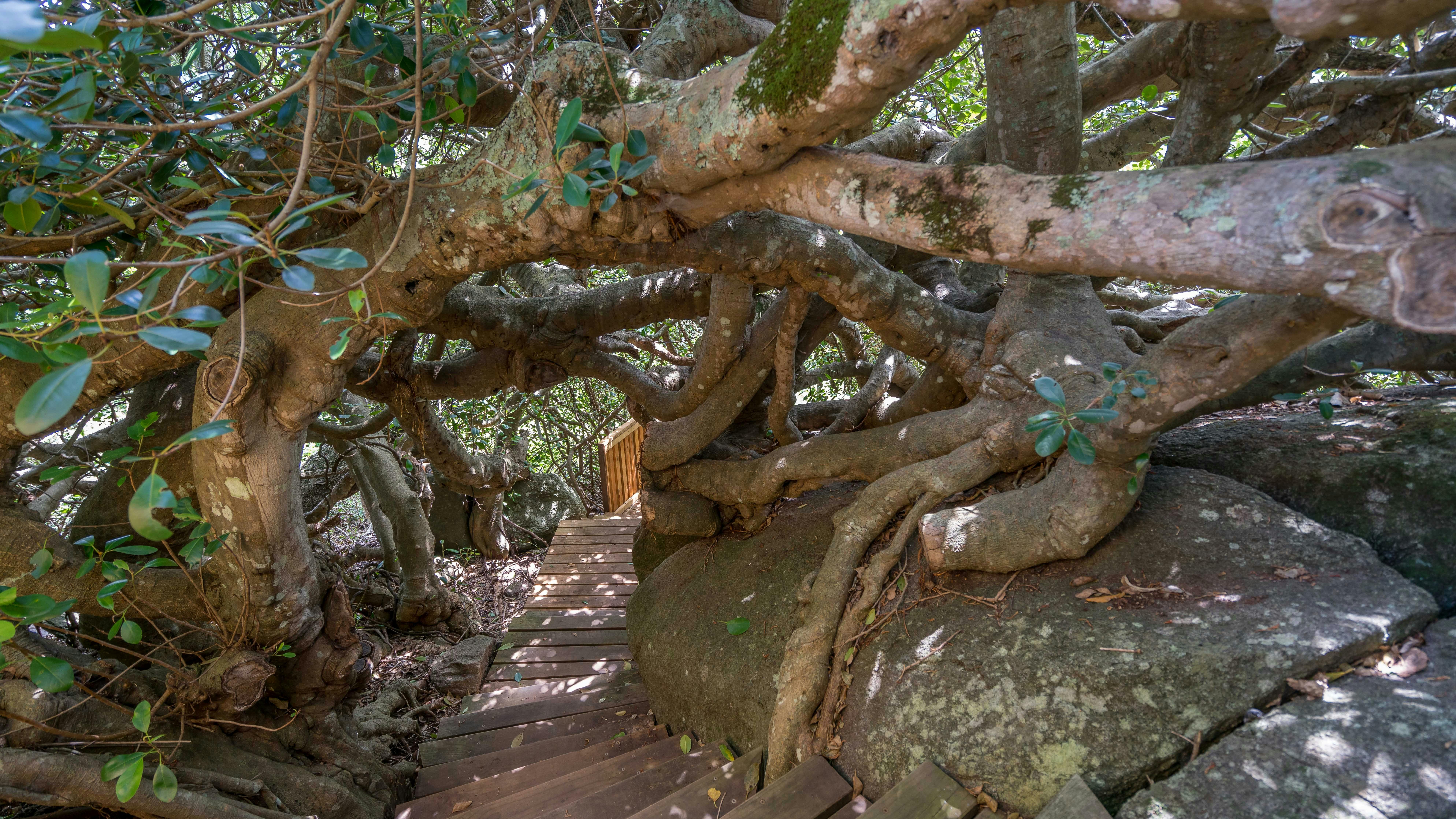 Rock formations on the Bellbrook Farm Loop walk