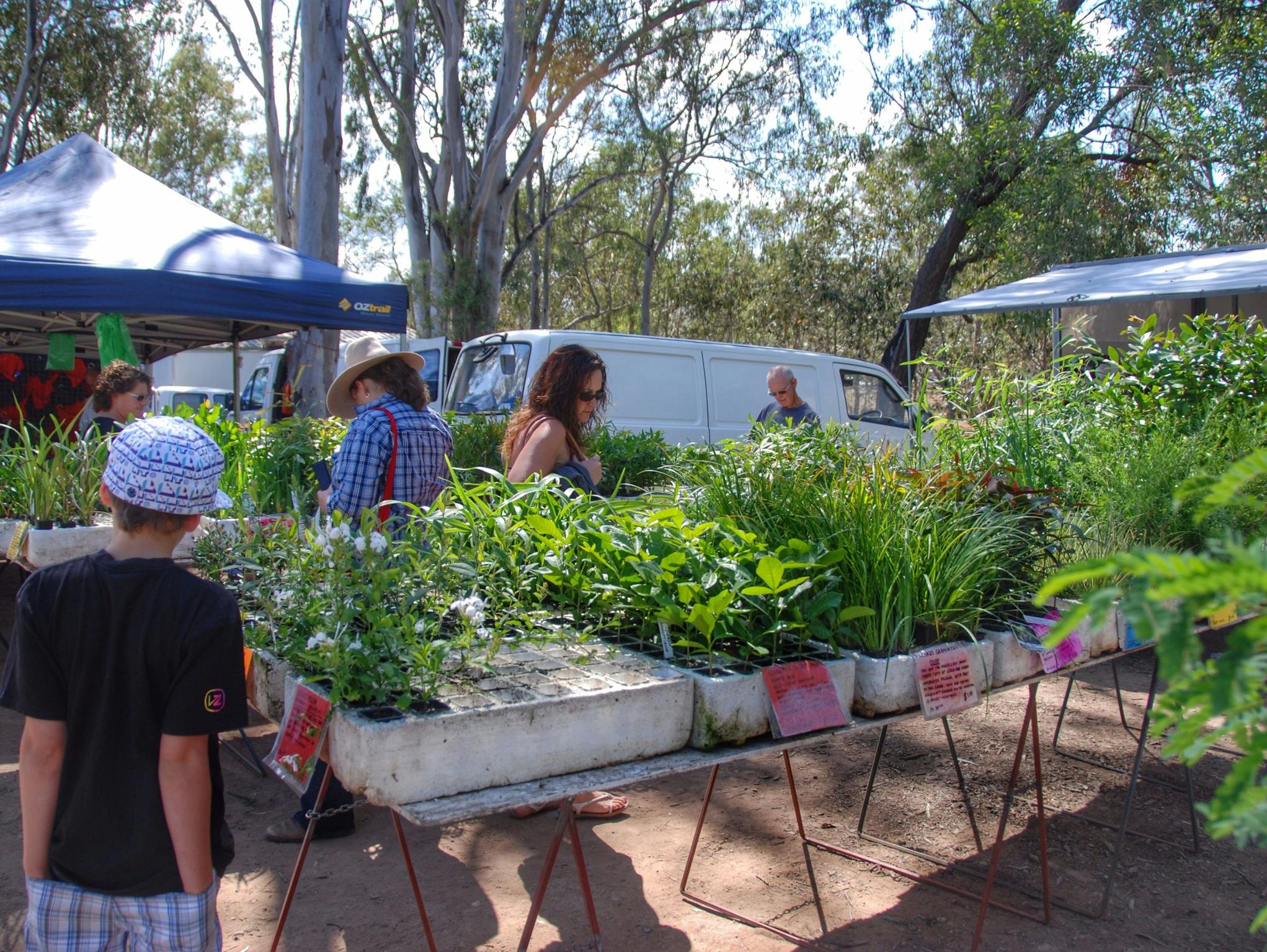Fernvale Country Markets Attraction Queensland
