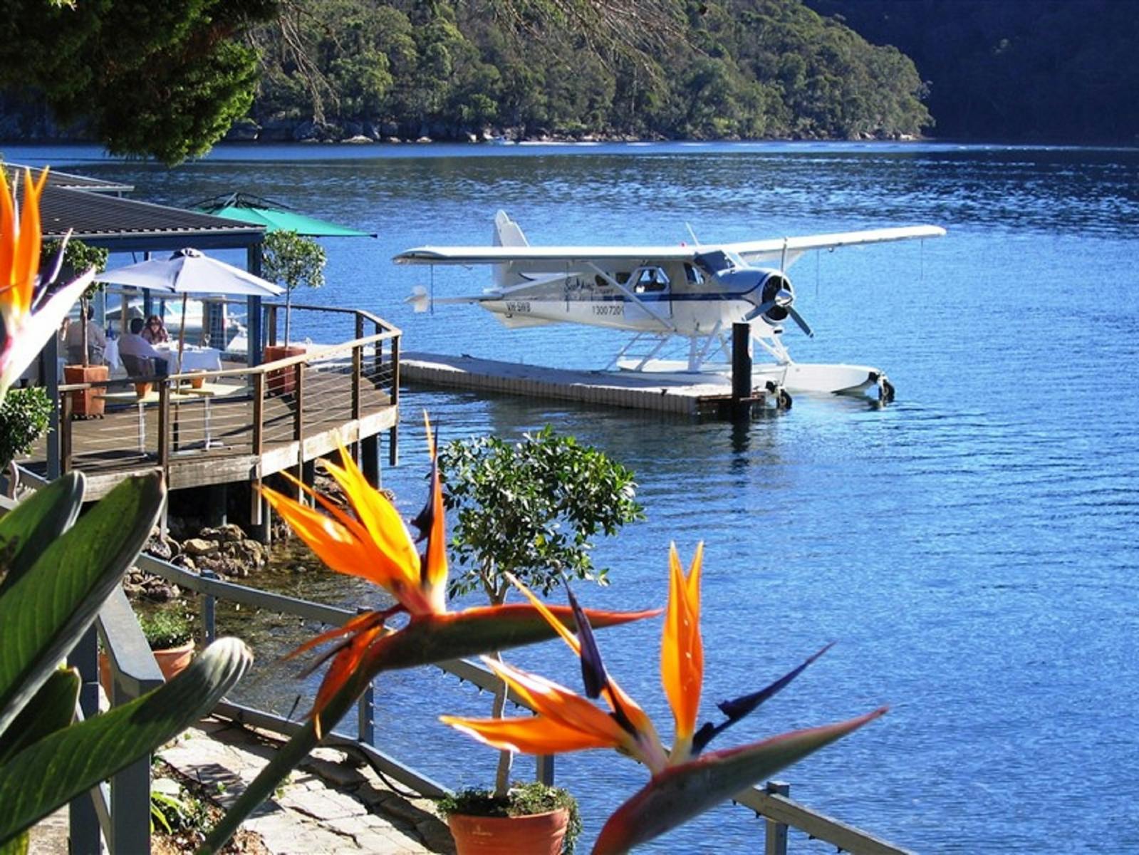 シドニーバイシープレーン