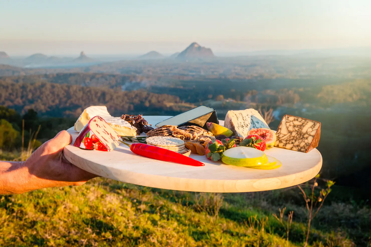 Cheese Board with 5 cheeses ans condiments over looking the Glass House mountains