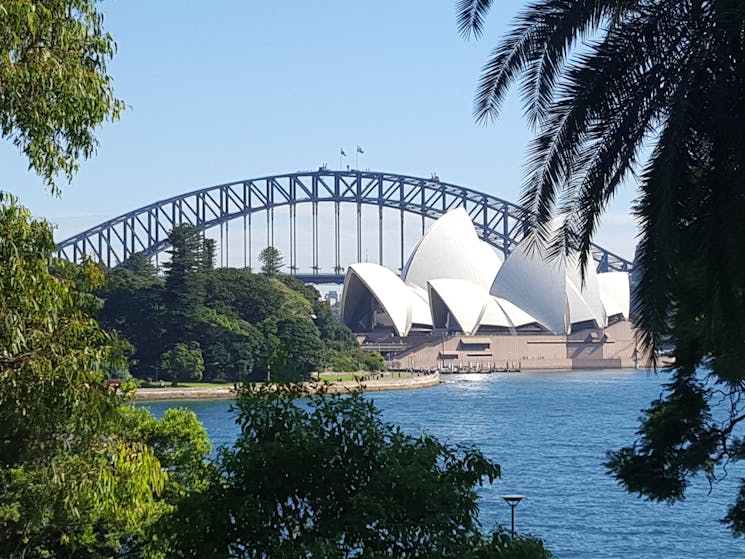 Sydney Opera House View