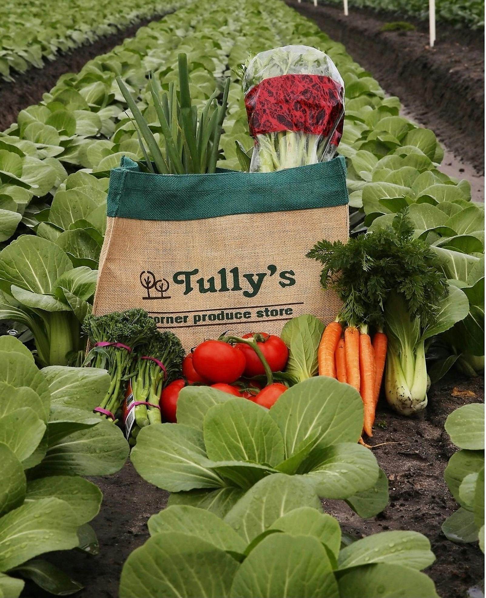 Tully's Bag
