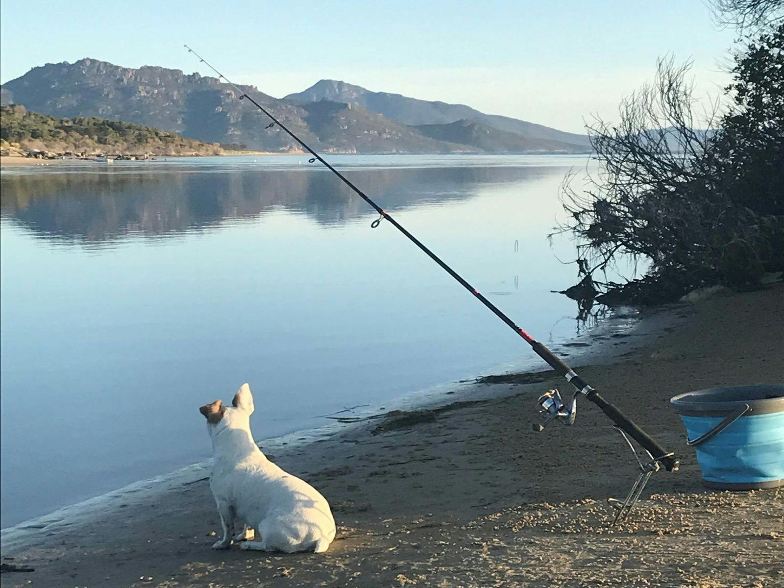 Fishing at Moulting Lagoon