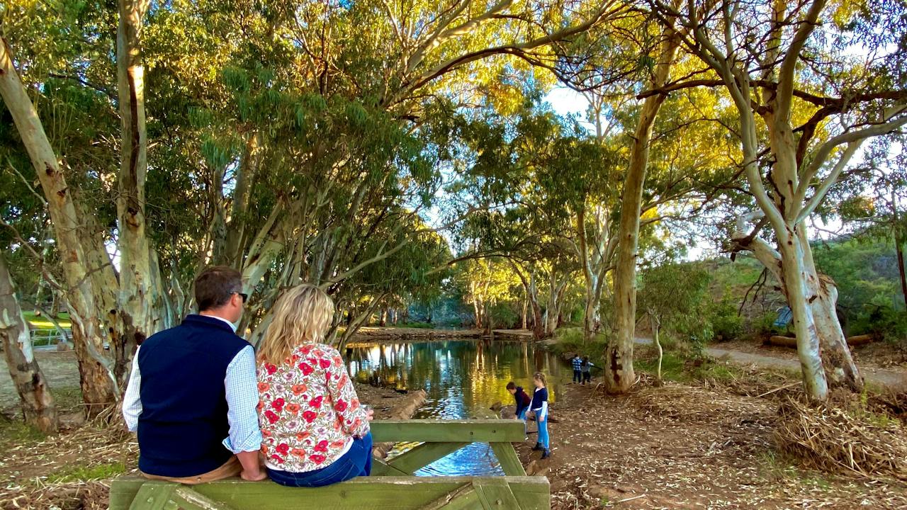 Duck Pond Billabong