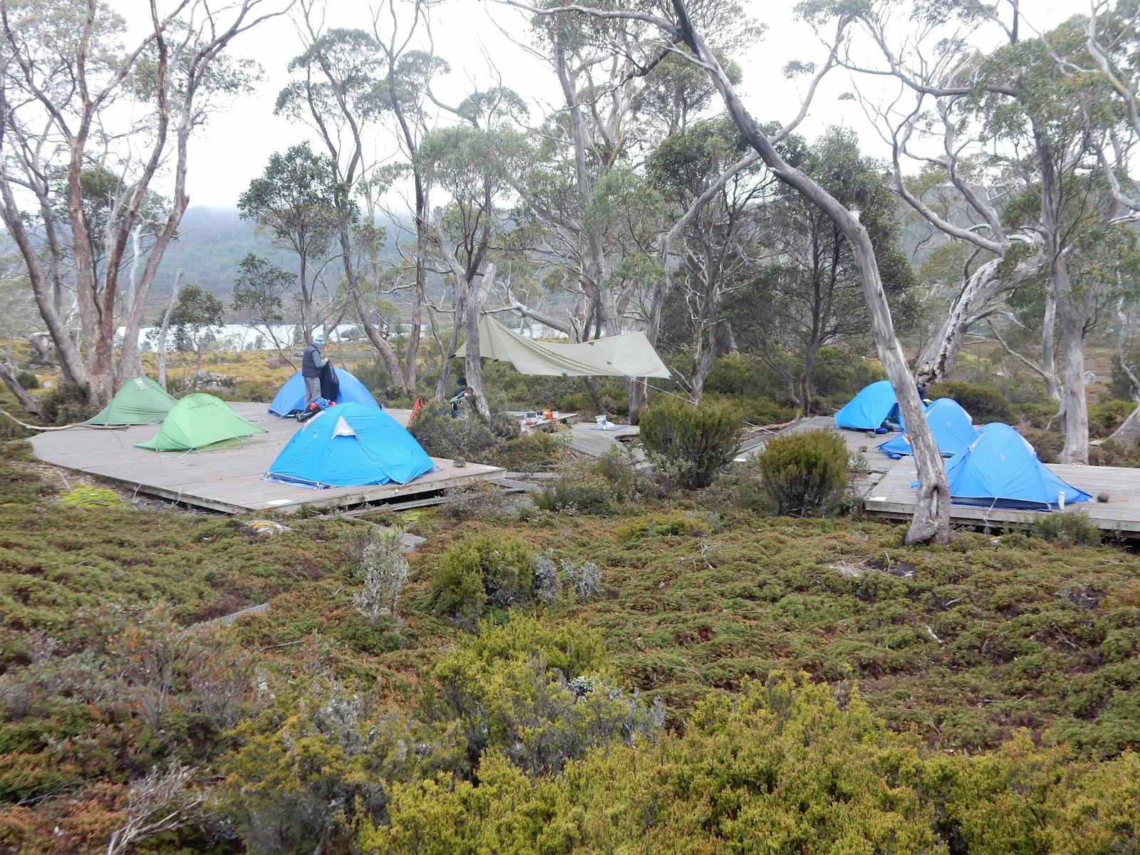 Pictured is our camp at Lake Windermere on day 2  of our Overland Track Guided Walk