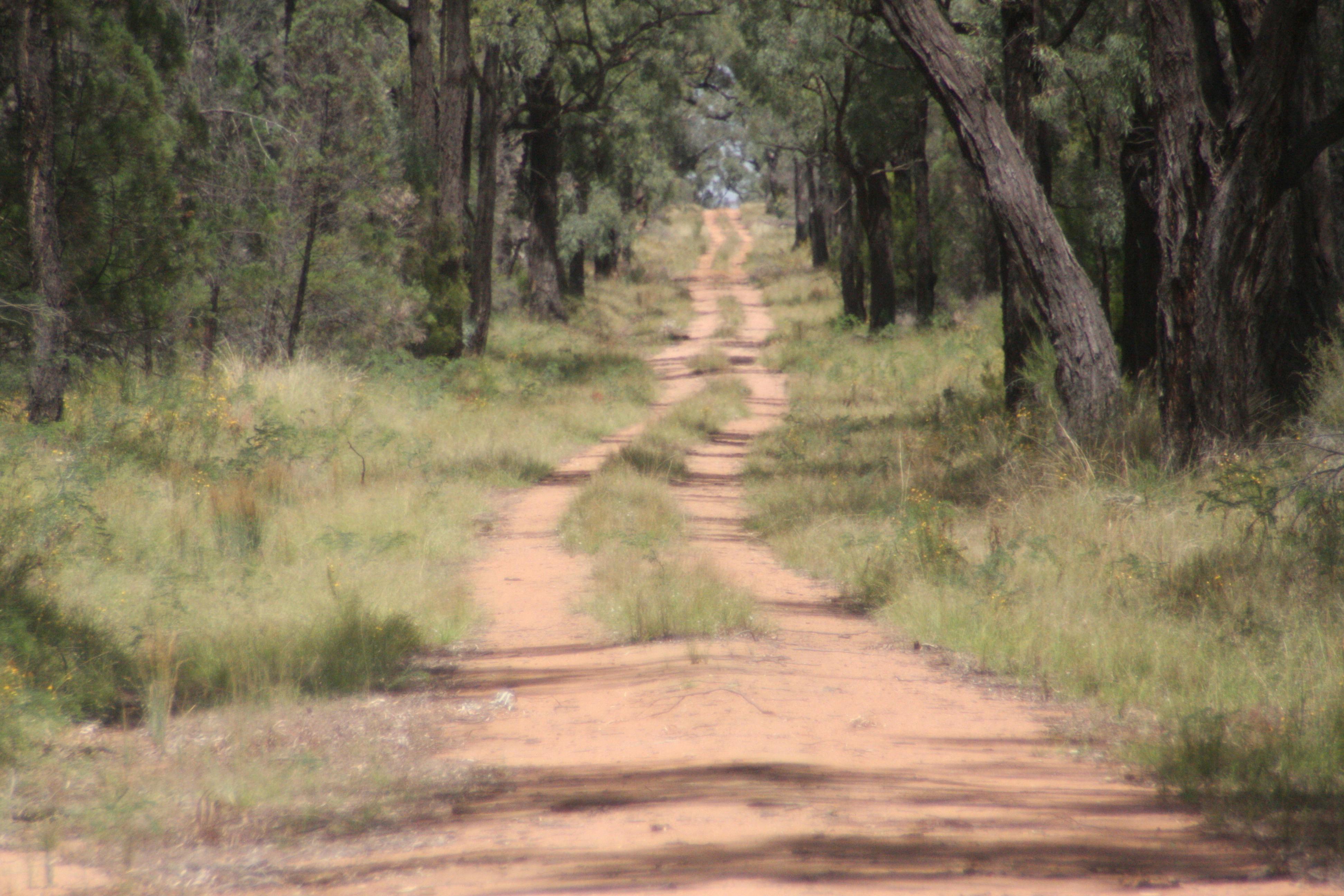 PedalVentures Cycle Tours