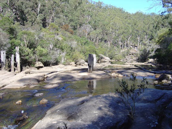 Frere's Crossing Bushwalk