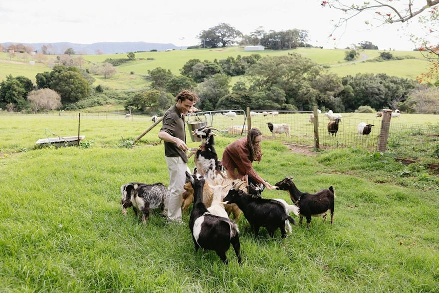 Animal encounters