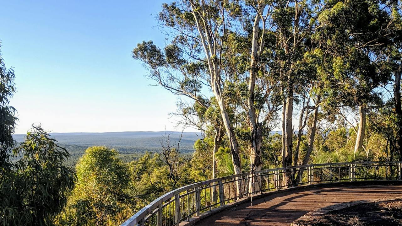 Mount Dale Lookout