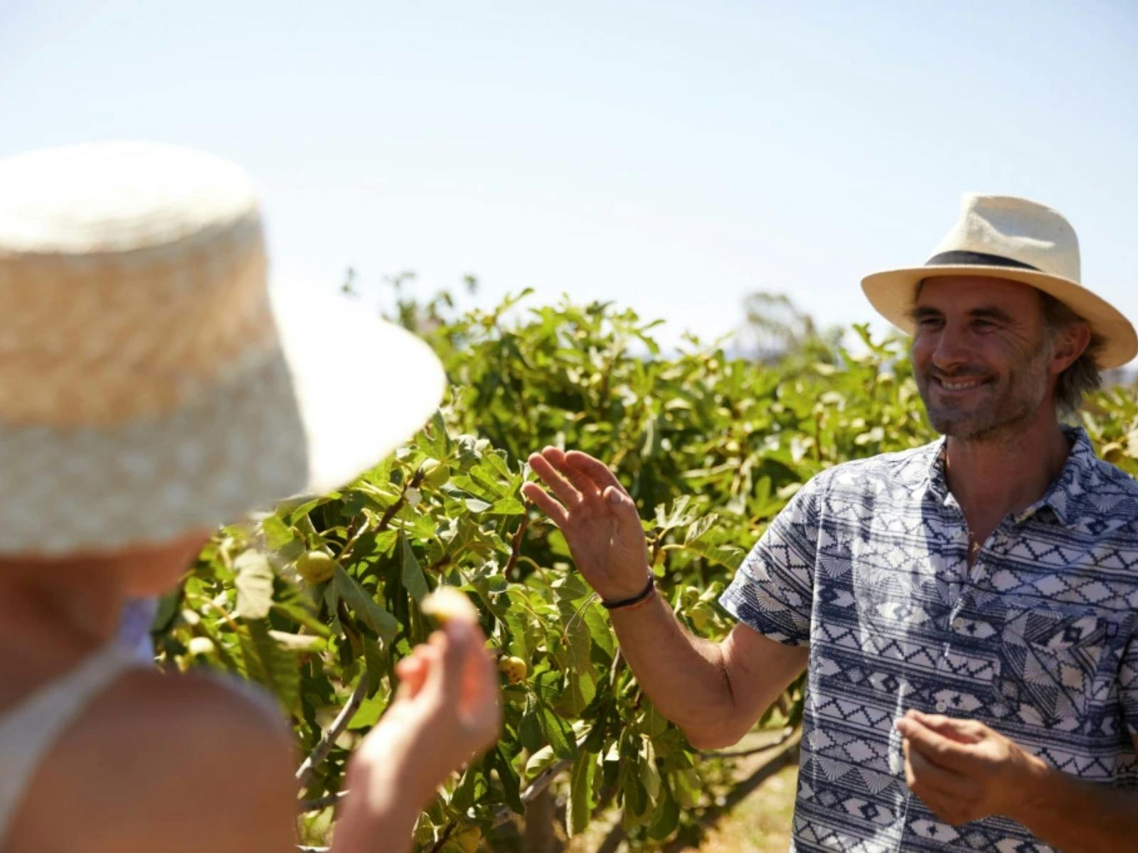 Farm Tour at Rosnay edit