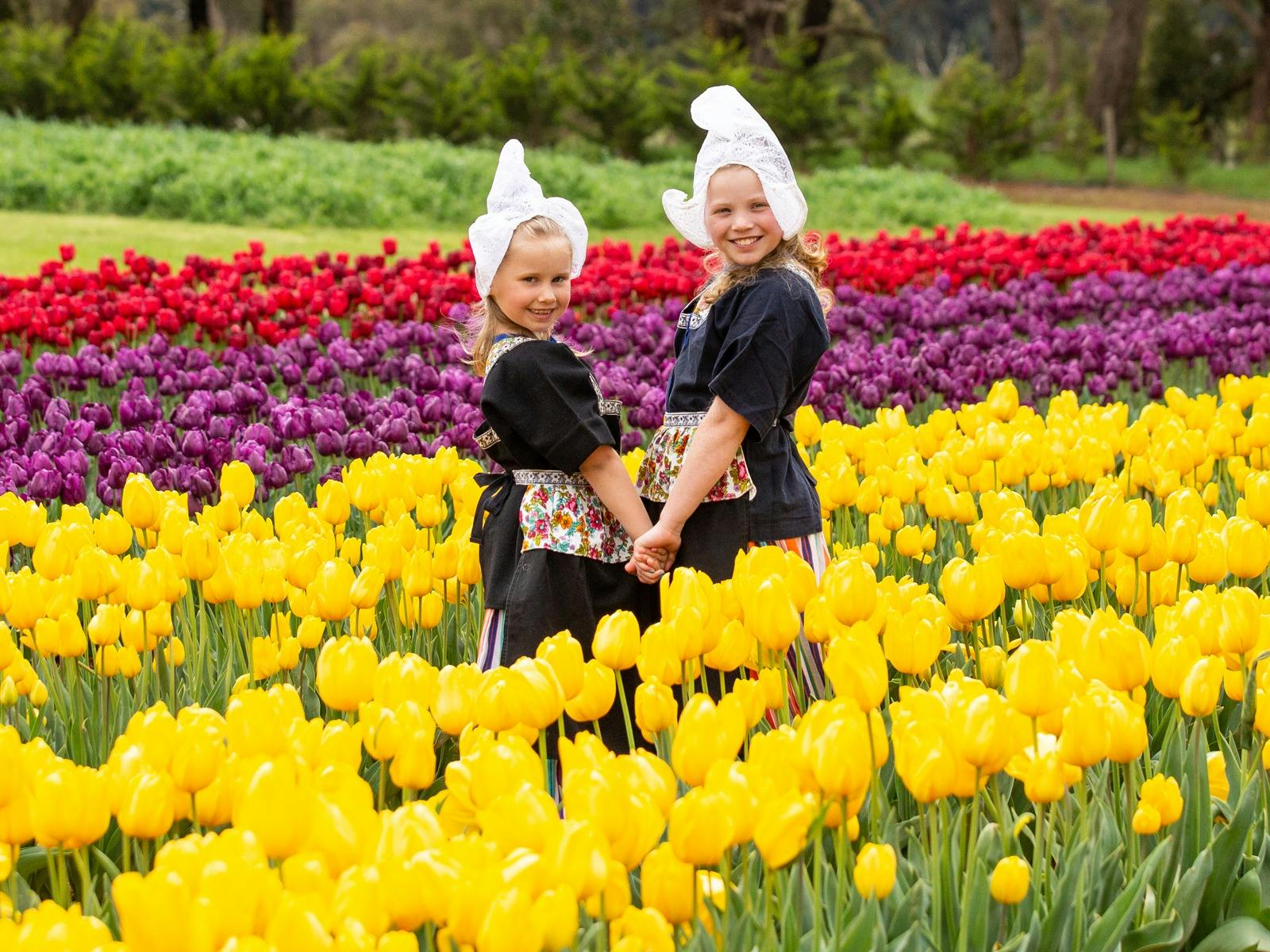 Tesselaar Tulip Festival