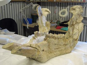 Eromanga Natural History Museum