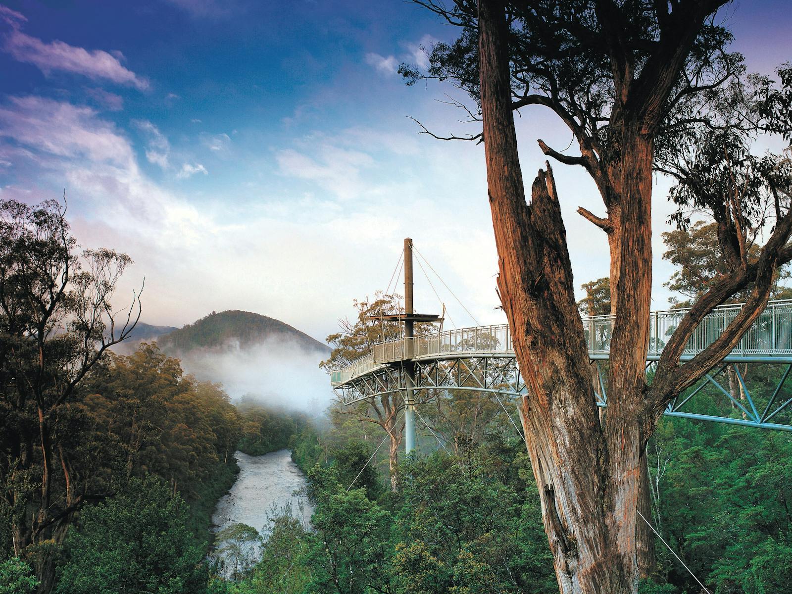 Tahune Airwalk