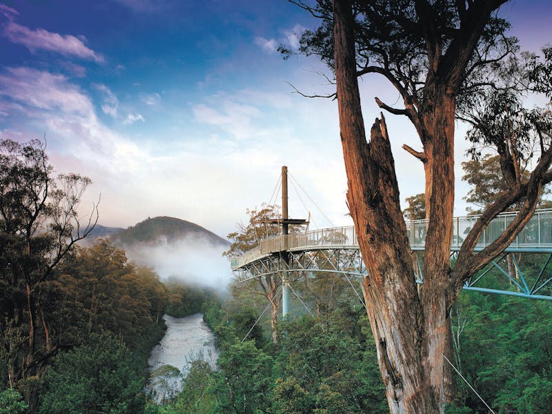 Tahune Airwalk