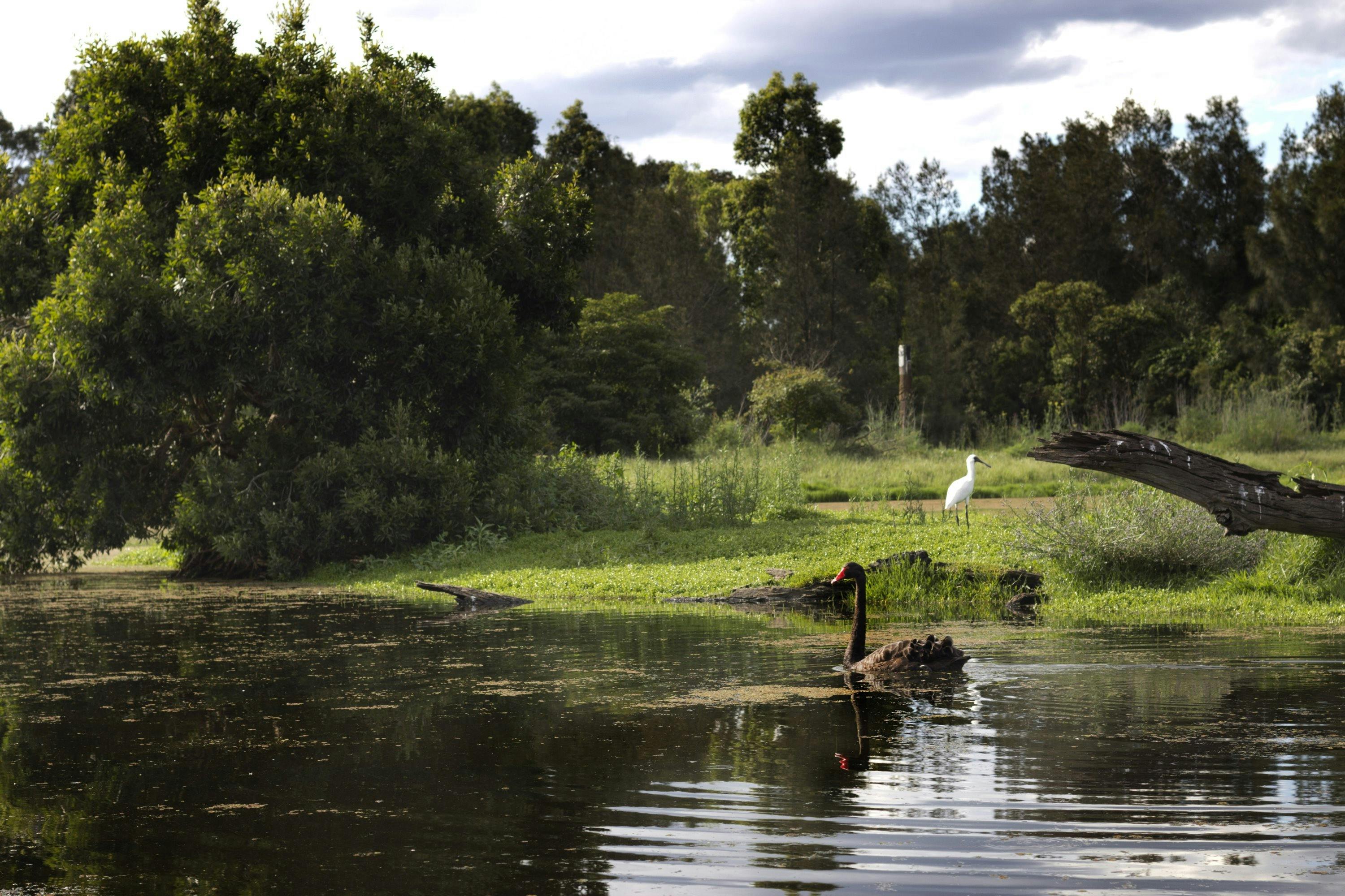 Hunter Wetlands Centre