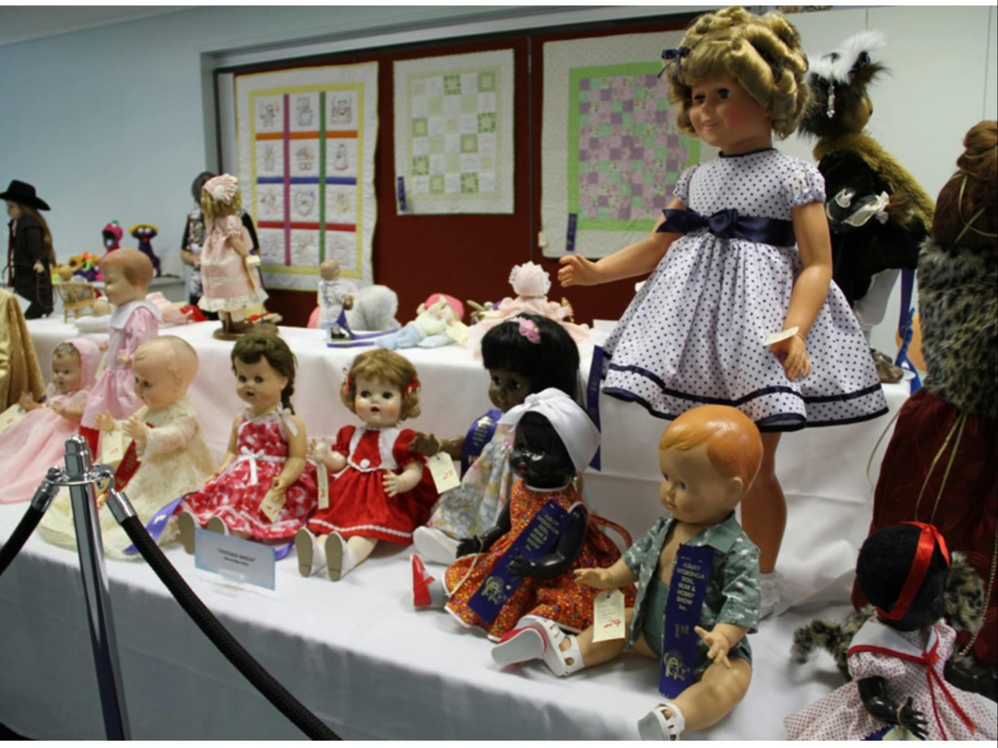 Albury Wodonga Doll, Bear, and Hobby Show