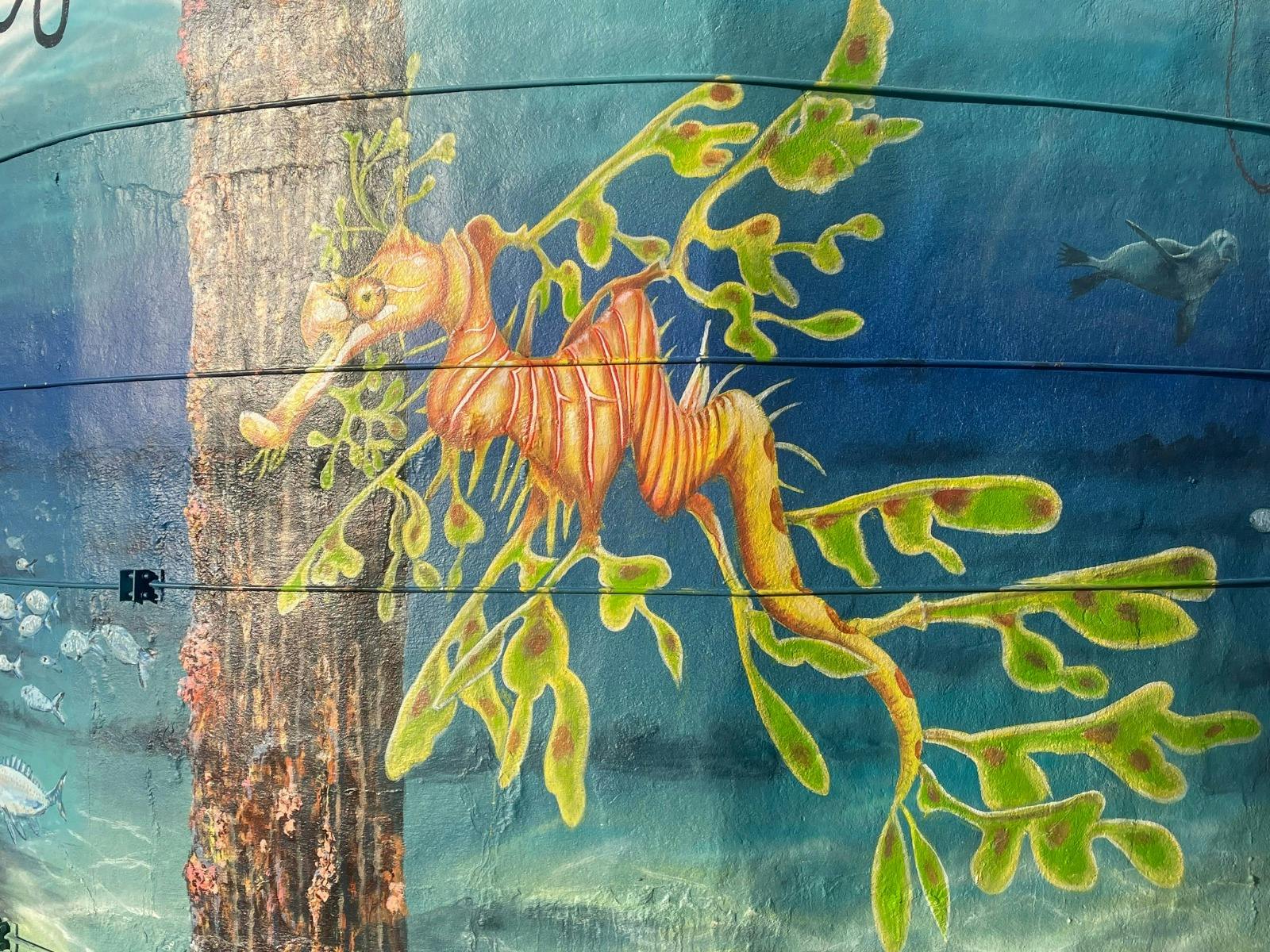 Warooka main st, artist Jason Swales, Harley Hall, Rachelle Plazeriano, Lianne Cook, Steve Renfrey