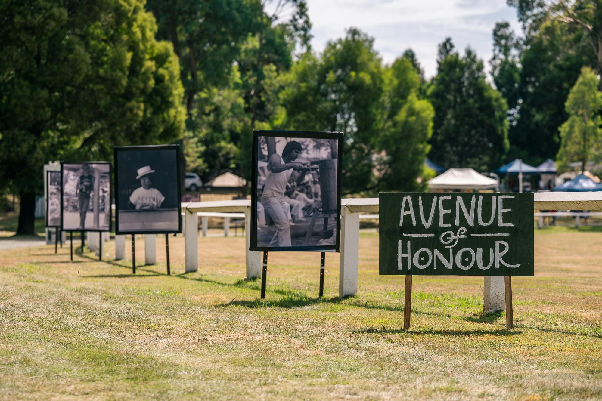 Spring Ditch Avenue of Honour, a series of enlarged photos of former sports people from the 1980's