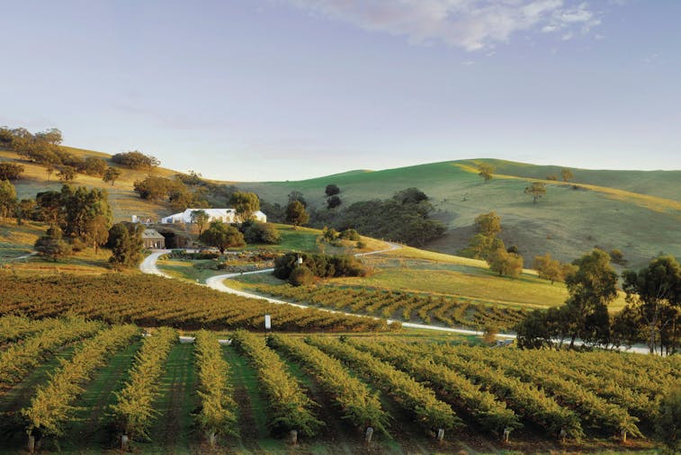 Discover the Barossa Valley History Heritage