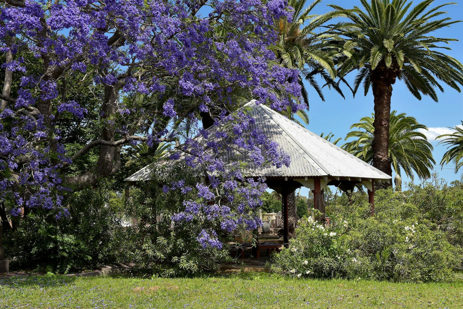 Field of Mars Cemetery