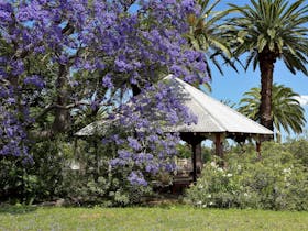 outdoor sitting area covered by a jacaranda tree