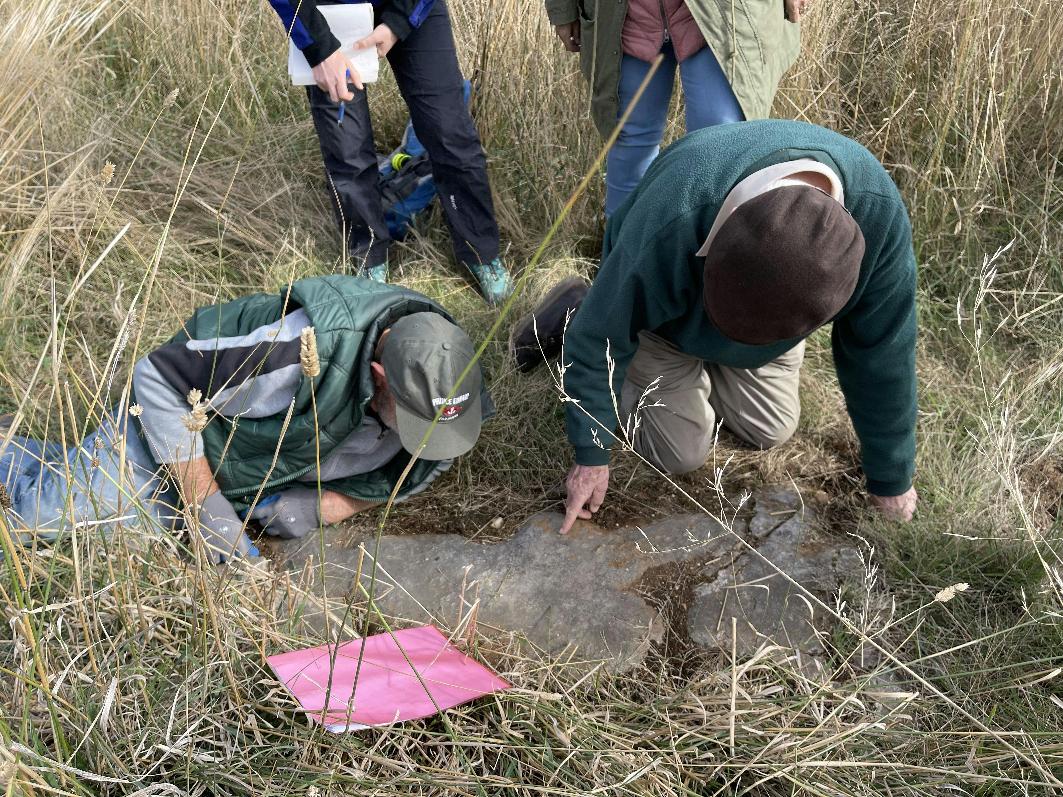 Men crouched over limestone outcrop, pointing at fossils in the limestone