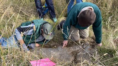 Men crouched over limestone outcrop, pointing at fossils in the limestone