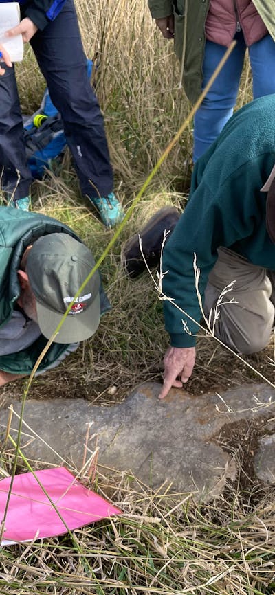 Men crouched over limestone outcrop, pointing at fossils in the limestone