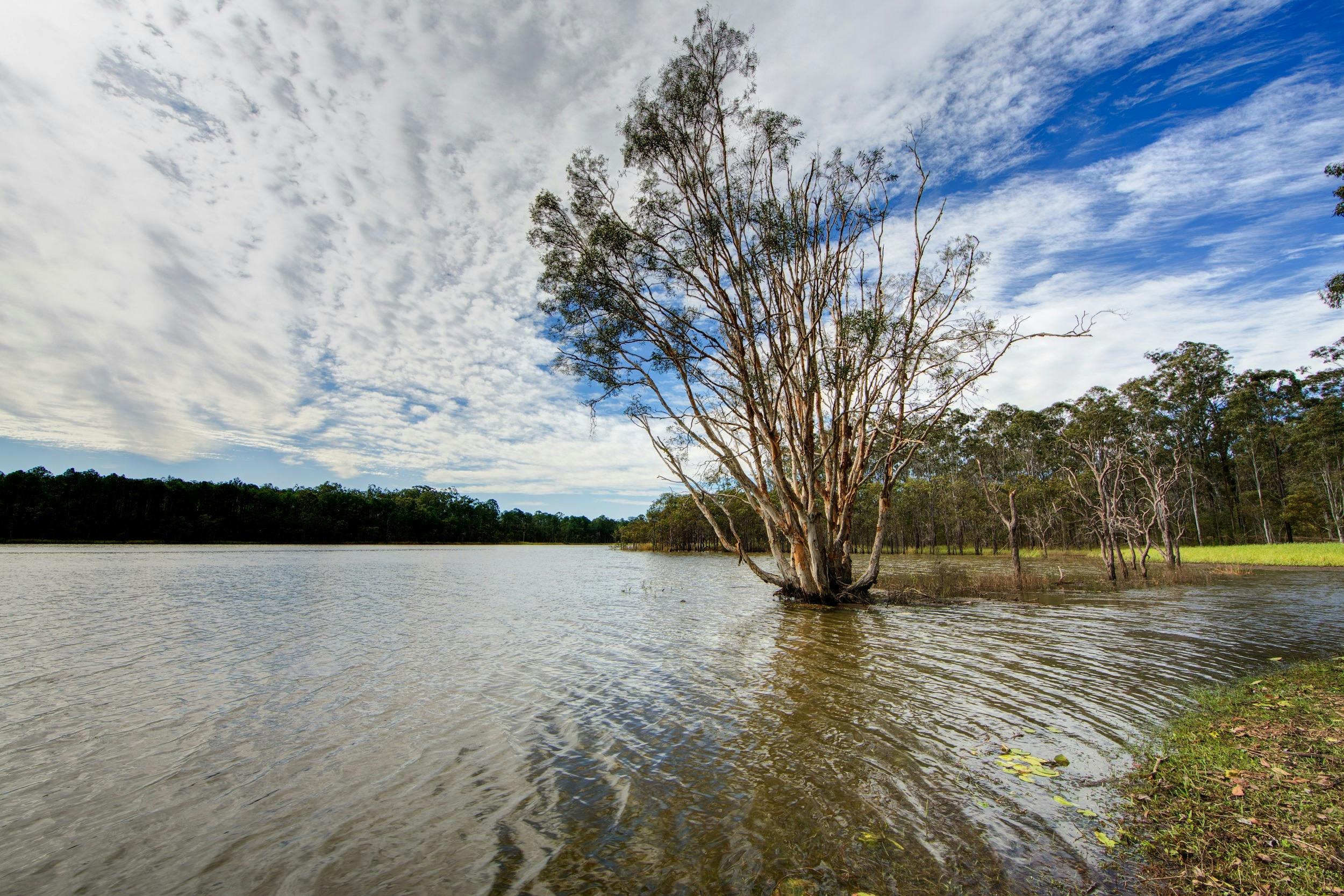 Lake Kurwongbah