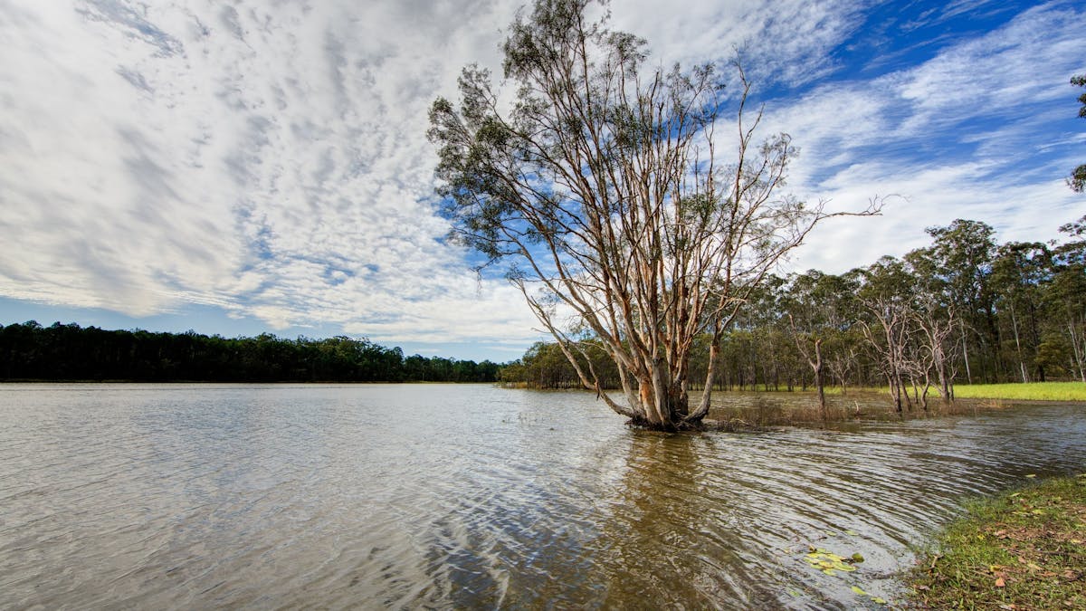 Lake_Kurwongbah_near_Petrie_water_recreational_activitiesmoreton_bay_region