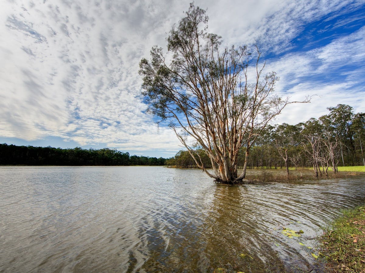 Lake Kurwongbah Queensland