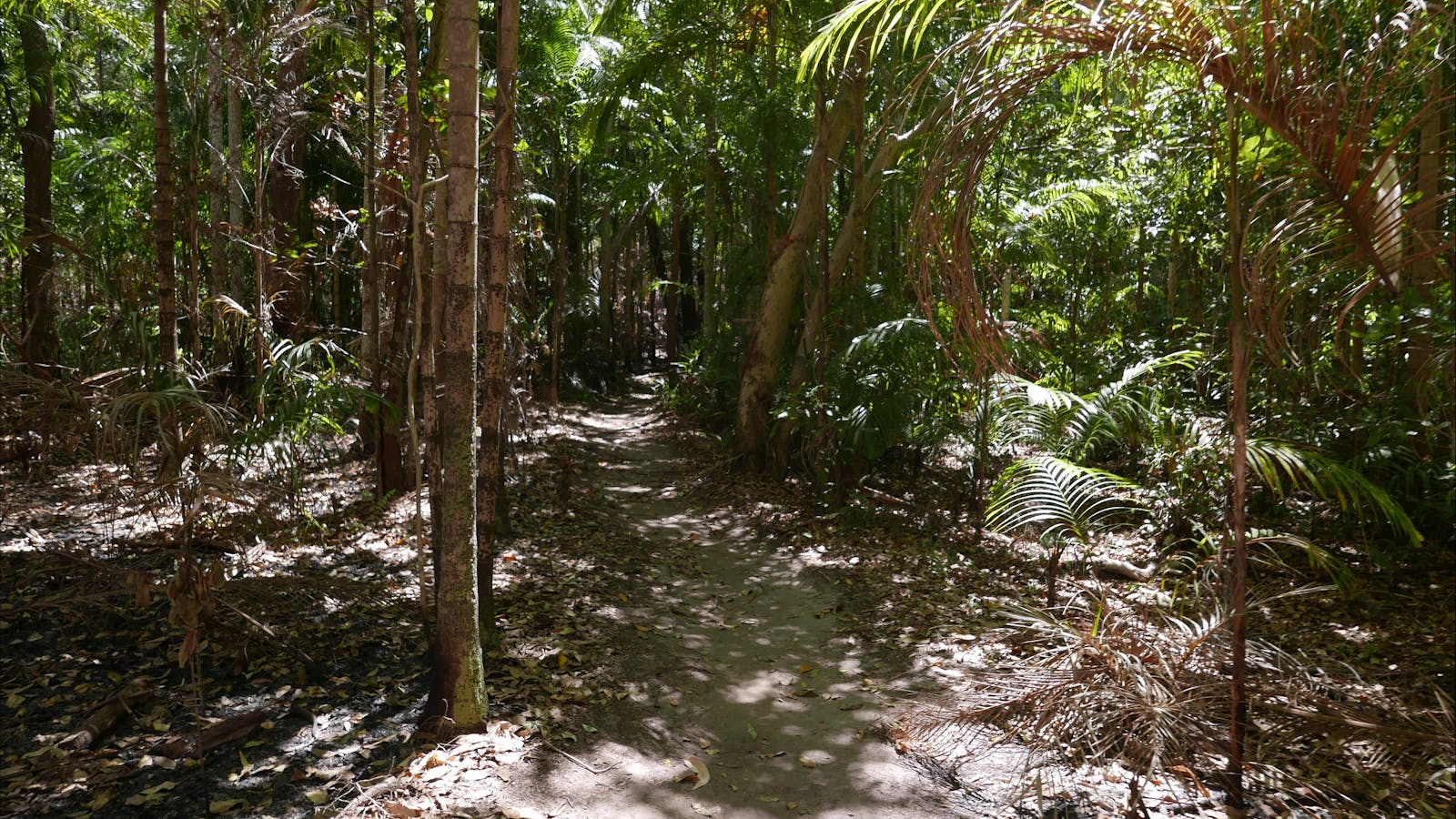 Greenant Creek Walk / Tjaetaba Falls