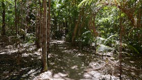Greenant Creek / Tjaetabe Falls