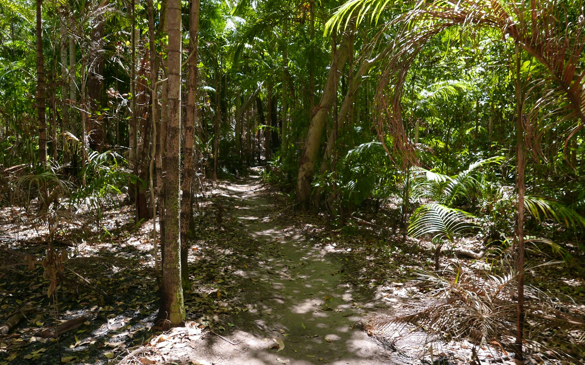 Litchfield National Park- All You Need to Know! 4 Litchfield National Park