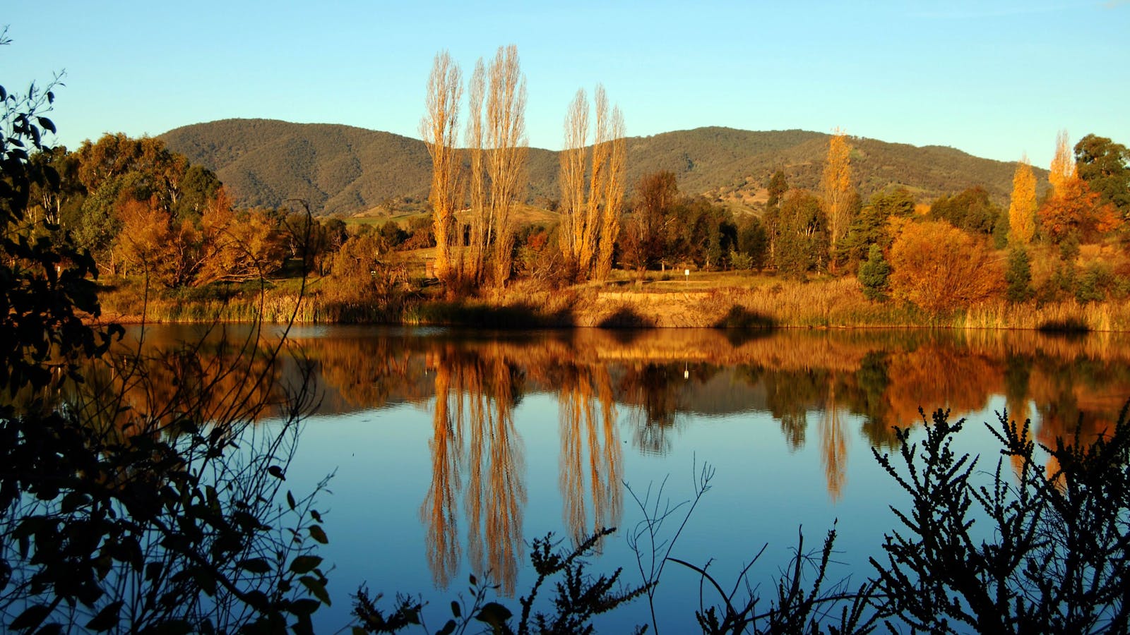 Allans Flat Reserve