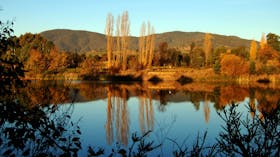 Allan's Flat Reserve
