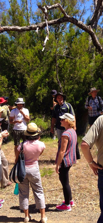 Tour group on Mount Majura with an Aboriginal Guide