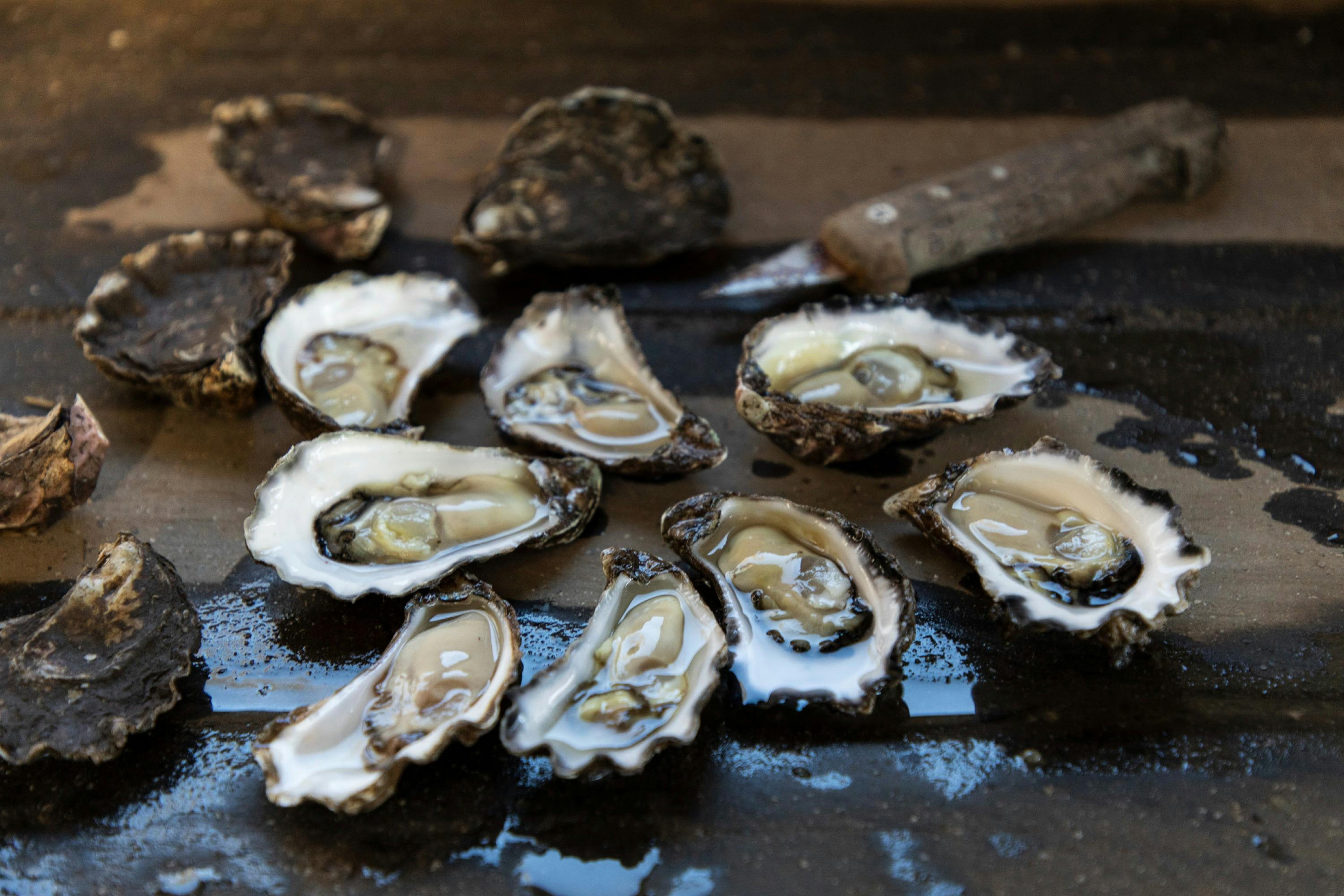 Award winning oysters