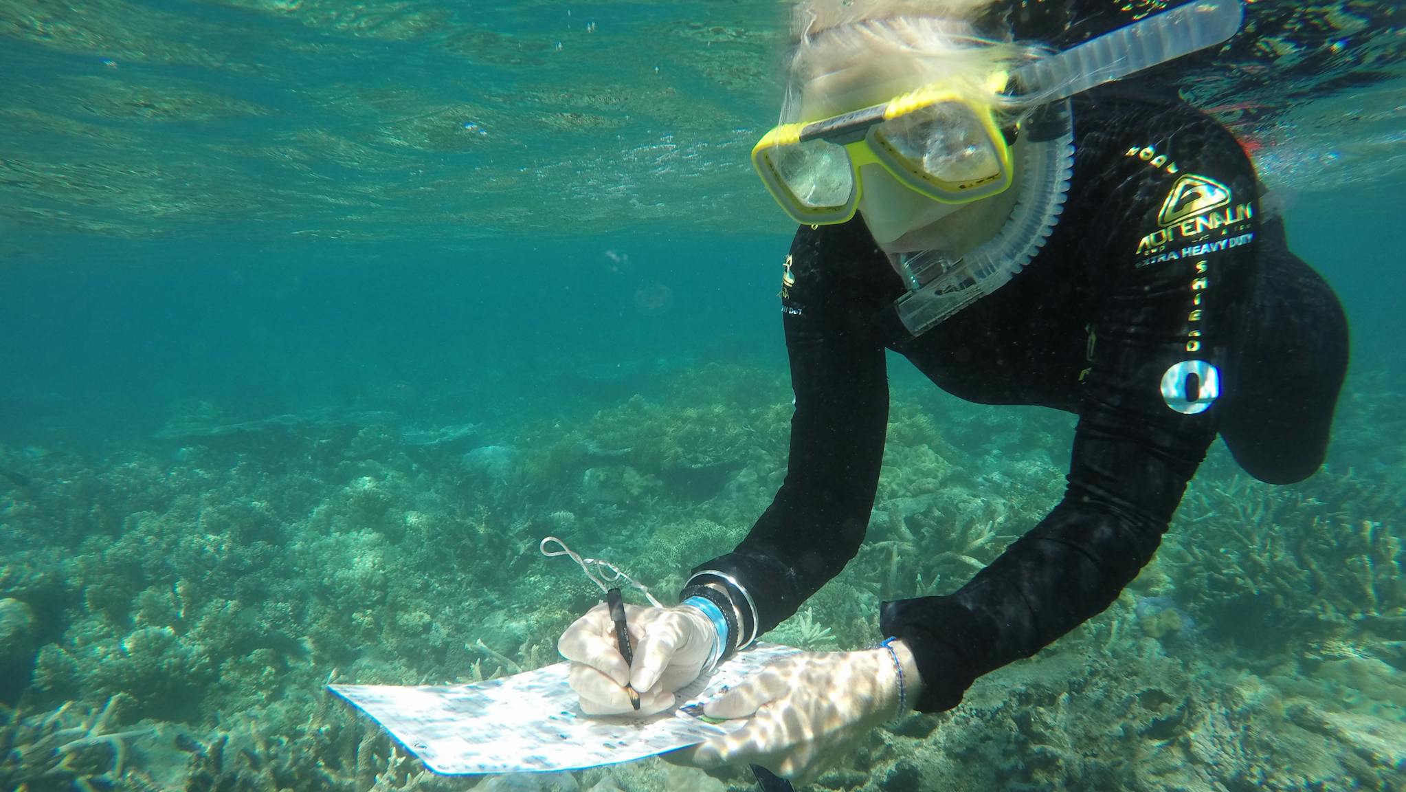 citizen science for students citizen science for students