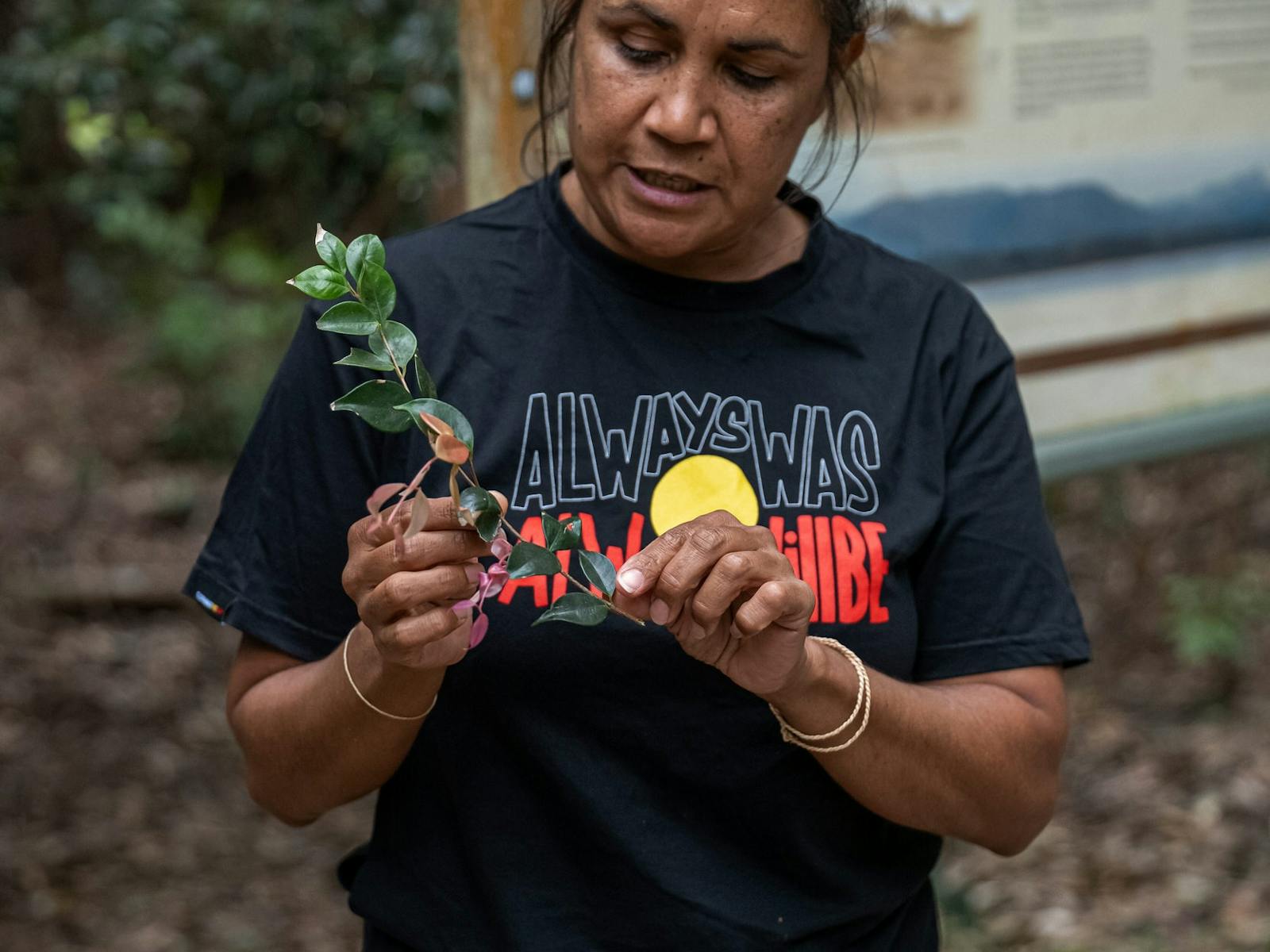 Aboriginal Tours