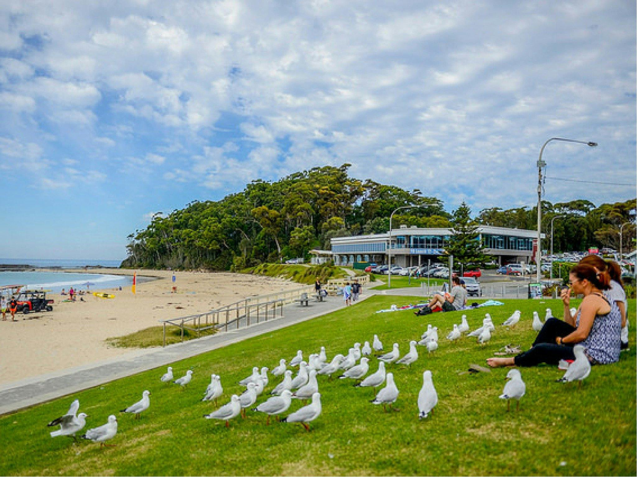 Mollymook image