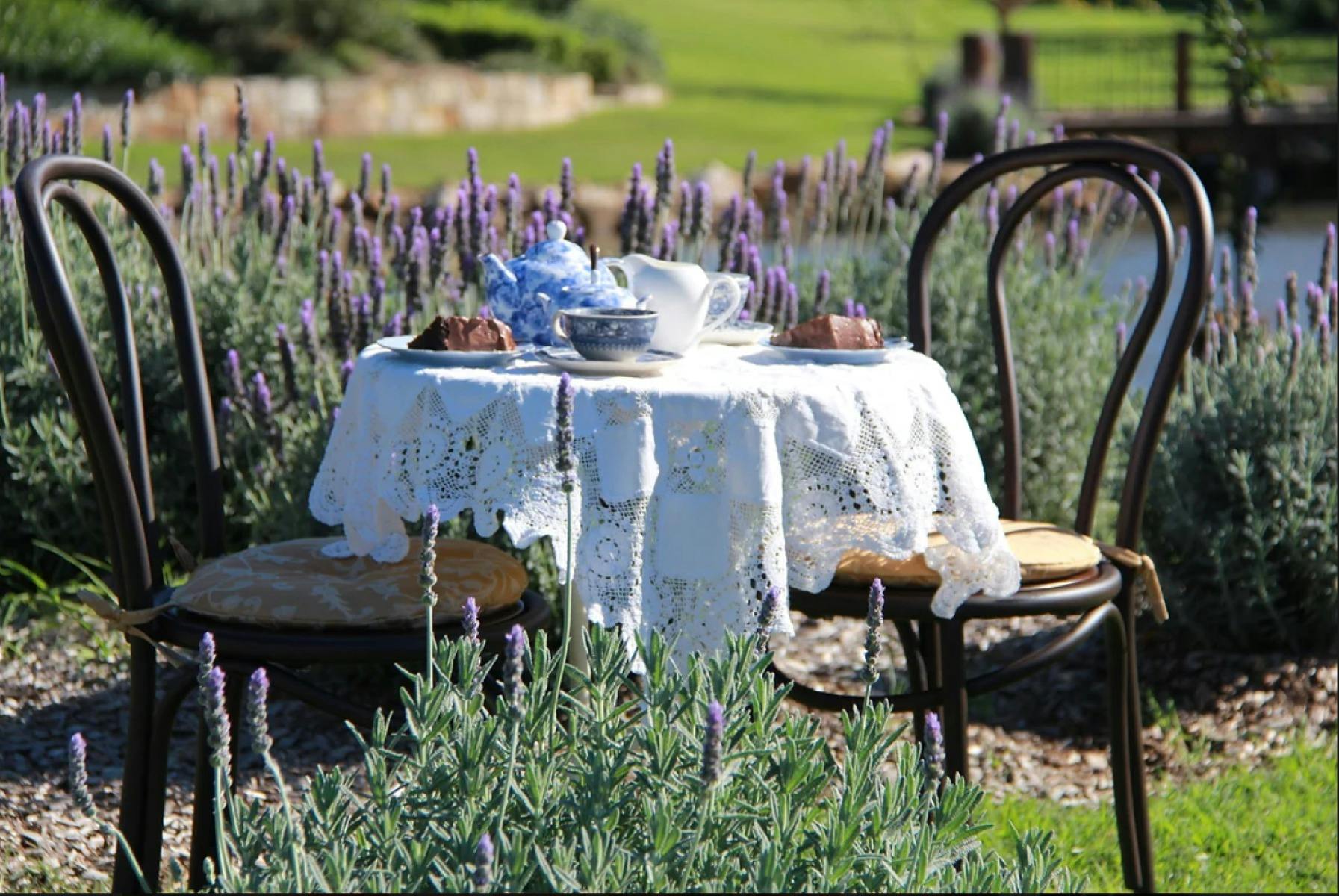 The Bath House Garden