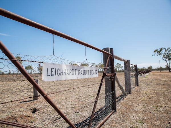 Leichhardt Rabbit Board fence, Morven