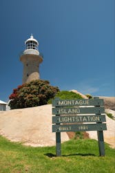 Montague Island Nature Reserve Tours