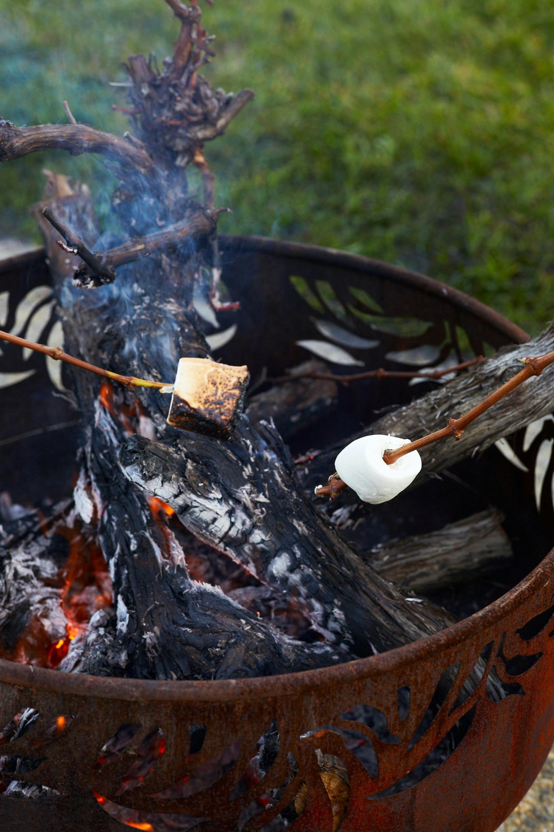Toasting Marshmallows at Devils Corner Cellar Door