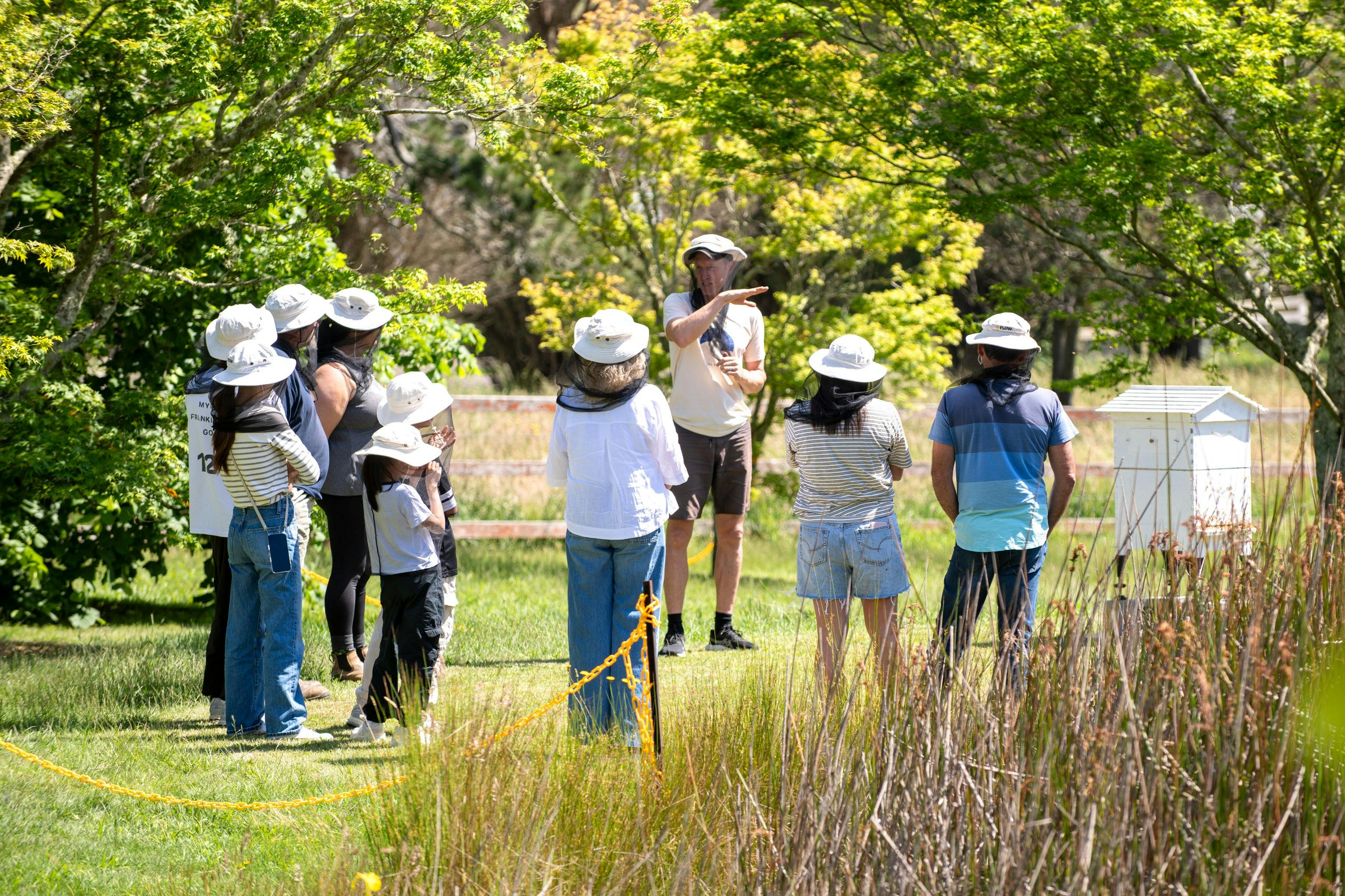 Beehive to Table: Hands-On Honey Harvest Experience
